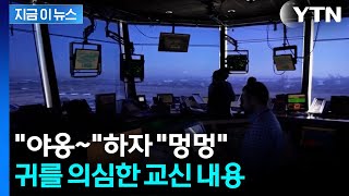동료 제지에도 야옹·멍멍...얼 빠진 조종사들의 최후 [지금이뉴스] / YTN