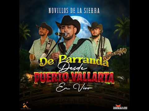 LAS LETRAS GEMELAS (JOEL DE LA P, LUIS R CONRIQUIEZ Y NOVILLO DE LA SIERRA)