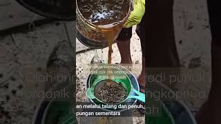 Download lagu processing goat urine into liquid organic fertilizer mp3