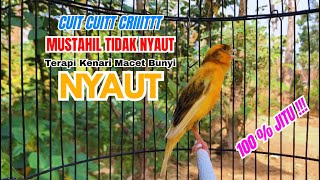 Download lagu Kenari gacor NGEROL PANJANG cocok untuk PANCINGAN KENARI PAUD bikin BURUNG KENARI GACOR PANJANG mp3 Download lagu Kenari gacor NGEROL PANJANG cocok untuk PANCINGAN KENARI PAUD bikin BURUNG KENARI GACOR PANJANG mp3