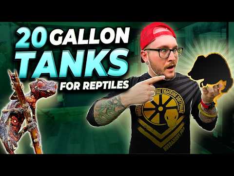 5 Reptiles That Can Live in 20 Gallon Tanks FOREVER!