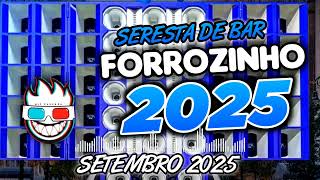 FORROZINHO PRA PAREDÃO 2025 SERESTA DE BAR  #forrozin #piseiro #forrozinho #nordeste