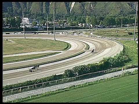 Trotto 27/06/2020 - 2ª prova di qualifica