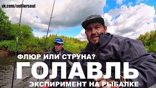 Ловля голавля летом на воблер