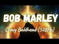Bob Marley The Wailers Crazy Baldhead 528Hz