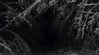 Silent night - cover