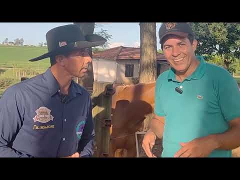 Campos Novos Paulista!