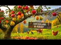 Switzerland In August Orchard Walk Among Apples Pears Alpine Cows