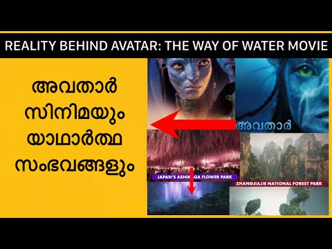 Avatar 2 Movie Social Media Meme Troll Movie References in Movie