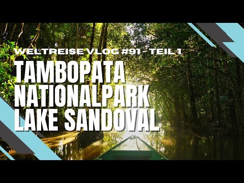 Abenteuer im Regenwald von Peru - Lake Sandoval Tambopata 4K  - Teil 1 - PERU 🇵🇪