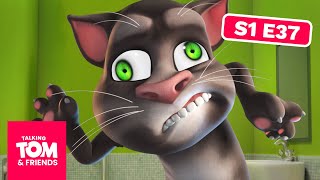 Download lagu Talking Tom & Friends - The Famous Monster (Season 1 Episode 37) mp3 Download lagu Talking Tom & Friends - The Famous Monster (Season 1 Episode 37) mp3