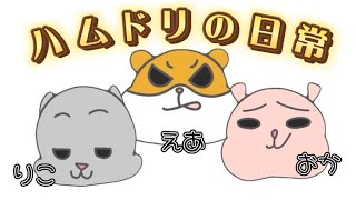ハムドリタイム【日常会話】
