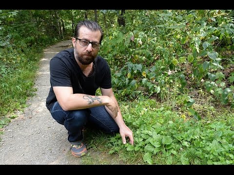 Singer Sean Rowe is a self-taught naturalist