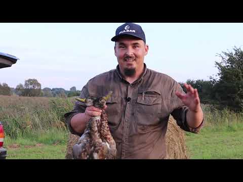 Darz Bór Stażysta 15: Rozpoczęcie sezonu na kaczki