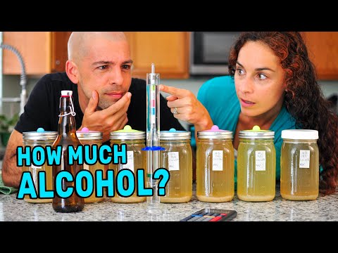 Does Ginger Beer Have Alcohol? Homemade Ginger Ale Alcohol Content