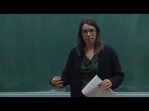 Claudia Scheimbauer - Relative field theories from relative dualizability