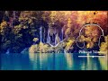 Punnagai Mannan Bgm Ilaiyaraaja Whatsapp Status Beats Mojo