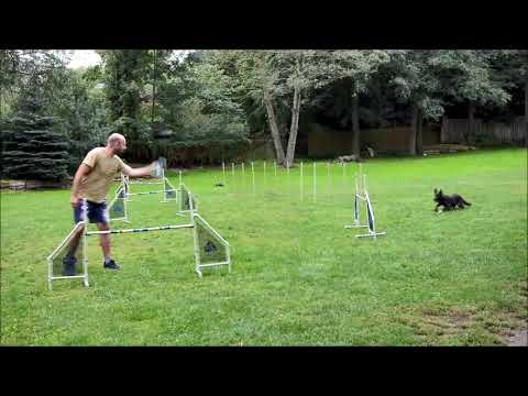 Agility trénink - ZKO Jirkov - 11. 9. 2017