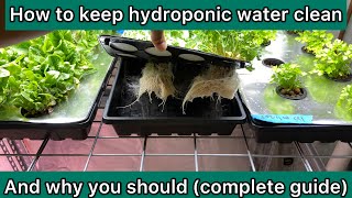 how to keep hydroponic water clean