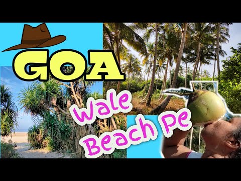 GOA WALE BEACH PE EARLY IN THE MORNING| Goa Beach' Vlog| Nazima Barreto