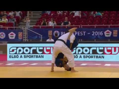 104  柔道 Judo Grand Prix Budapest  2016  Juji gatame  Aoki