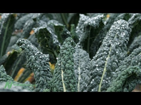 Flashback Friday Second Strategy to Cooking Broccoli