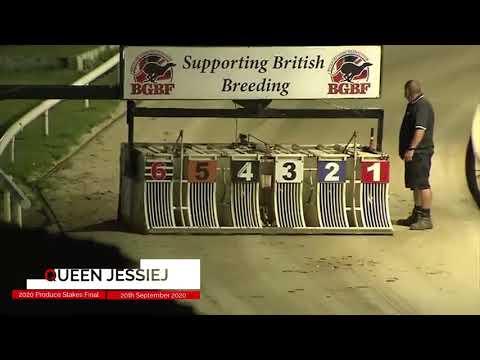 Queen Jessiej - The 74th British Bred BGBF Produce Stakes Final