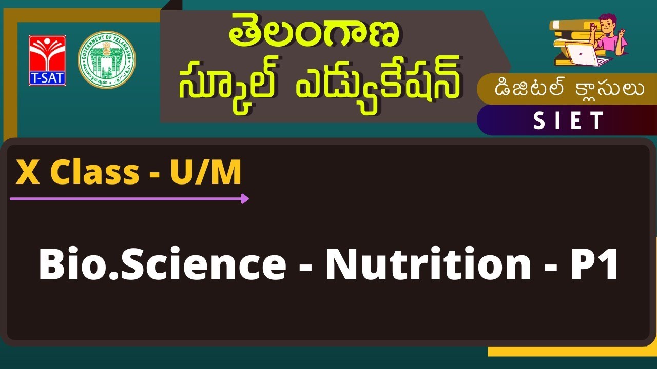 X Class - U/M || Bio.Science - Nutrition - P1