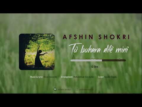 Afshin Shokri - Tû Buhara Dilê Minî