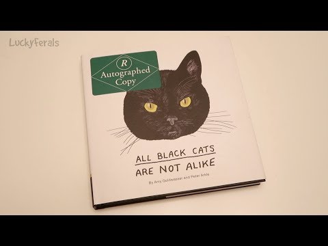 All Black Cats Are Not Alike