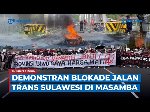 Demo Provinsi Luwu Raya, Massa Tutup Jalur Trans Sulawesi di Lutra