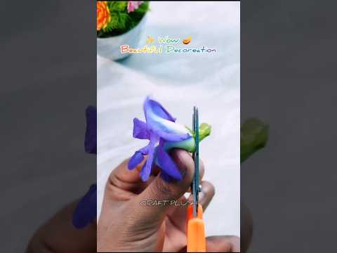 Diwali decoration ideas for home / Lakshmi pujan Rangoli / Diwali Decoration Ideas 2025 #diy #diwali