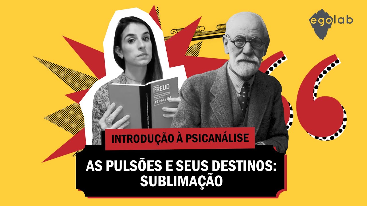 Destinos da Pulsão - Sublimação - Psicanálise