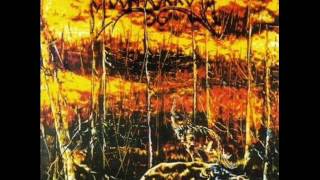 Moonsorrow - Suden Uni (2001 - The Entire Album)