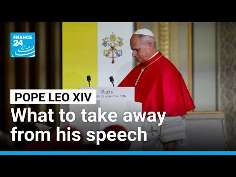 War, AI, secularism, surrogacy: what to take away from the Pope's speech