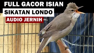 Download lagu Burung kerak basi alis putih GACOR isian SIKATAN LONDO | Suara masteran kicau TERBAIK audio JERNIH mp3