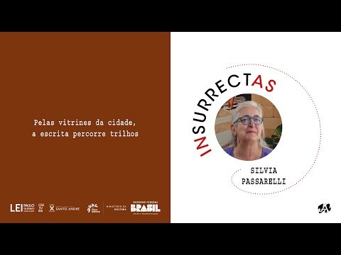 INSURRECTAS - SILVIA PASSARELLI: Pelas vitrines da cidade, a escrita percorre trilhos.