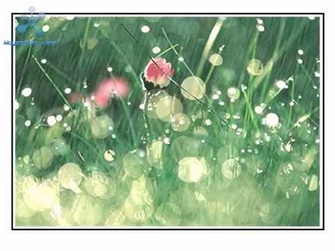 Cesaria Evora - Fidjo Maguado