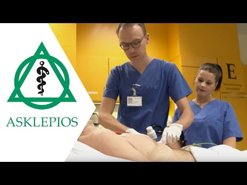 Cardiology Care and Clinical Practice in Hamburg, Germany at Asklepios Kliniken – Daily Work Routine