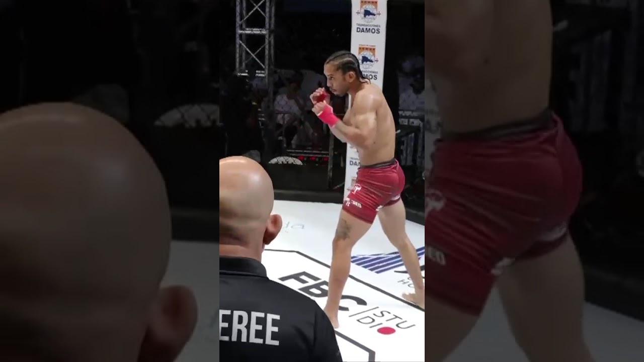 😱 ONE PUNCH CHANGED EVERYTHING 💣 #shortsviral #mma