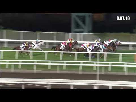 風火戰駒21/11/28……(214)第十塲二班1400米