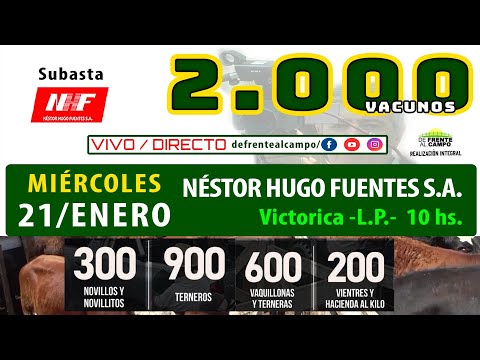 en VIVO - 10 hs. - REMATE de NÉSTOR HUGO FUENTES S.A. - MIÉ.  21 / ENERO / 2026 - VICTORICA -L.P.-