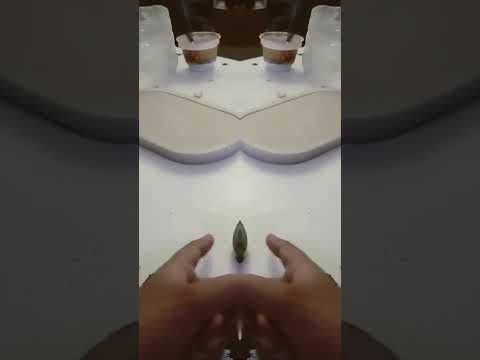 jajajajajajaja me tardé 1000 años