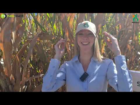Hoe lyk Sensako se tegnologie planne vir die toekoms saam met Syngenta?