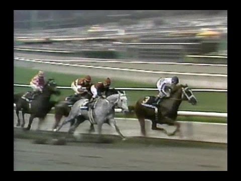 1987 Santa Anita Derby