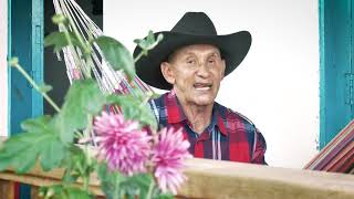 Volver A Vivir Lyrics English Translation