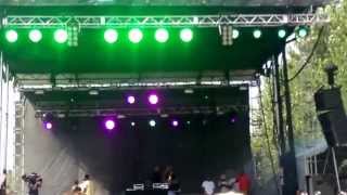 High - Freddie Gibbs & Madlib Pitchfork 2015