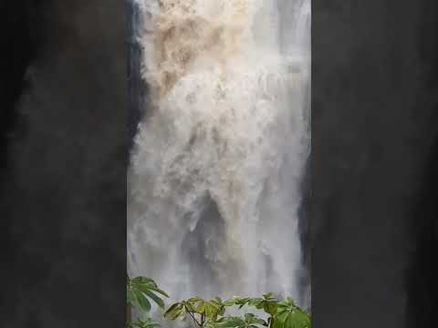 cachoeira salto das andorinhas Aripuanã MATO GROSSO #matogrosso #natureza #shortvideo