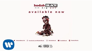 Kodak Black - Blood Sweat Tears Revenge (Official Audio)