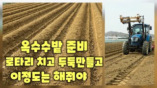 옥수수 심을밭 로타리 치고 두둑만들기 미흑찰 충북 괴산 풀뿌리농장(옥수수재배방법)